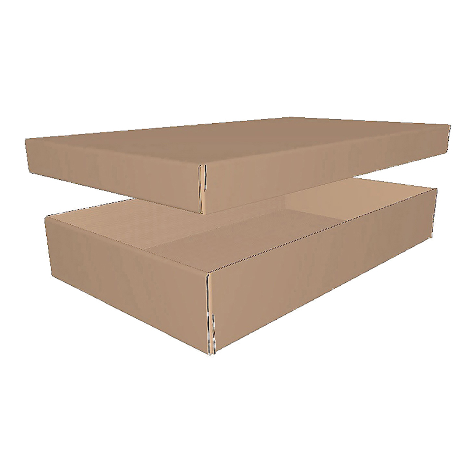 Mailing Carton Packaging